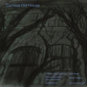 Curious Old House