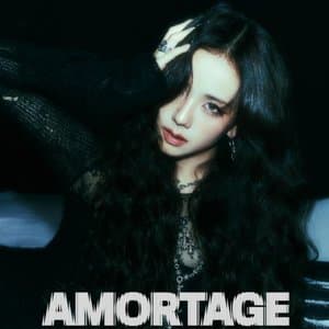 AMORTAGE