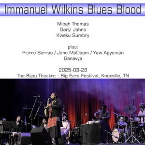 2025-03-28, The Bijou Theatre - Big Ears Festival, Knoxville, TN