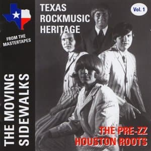 Texas Rockmusic Heritage Vol.1 - The Pre-ZZ Houston Roots