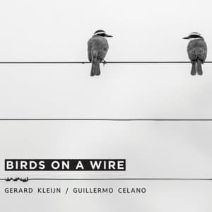 Birds On A Wire