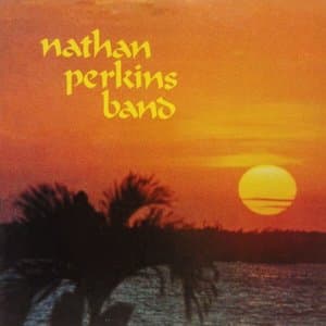 Nathan Perkins Band