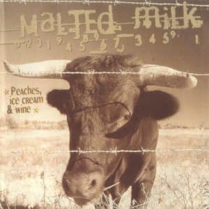 Peaches, Ice Cream & Wine