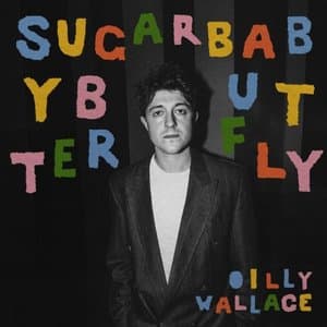 Sugar Baby Butterfly