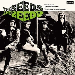 The Seeds (Bonus Track)