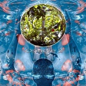 Osmose 2