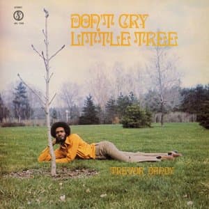 Dont Cry Little Tree