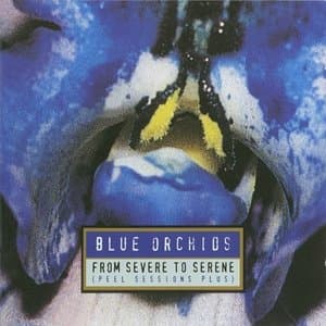 From Severe To Serene (Peel Sessions Plus)