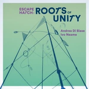 Roots of Unity