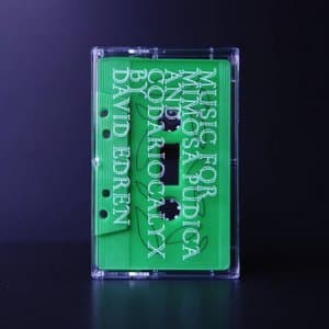 Music For Mimosa Pudica & Codariocalyx