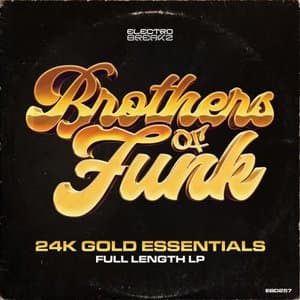 24k Gold Essentials (LP)