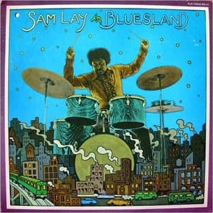 Sam Lay In Blues Land (Vinyl)
