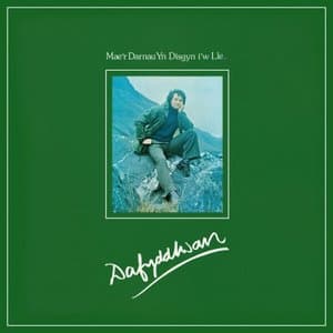 Maer Darnau yn Disgyn iw Lle