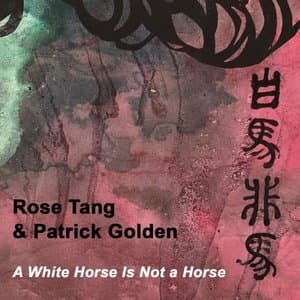 A White Horse Is Not a Horse