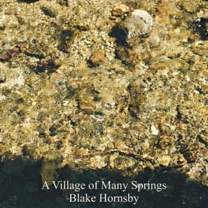 A Village of Many Springs