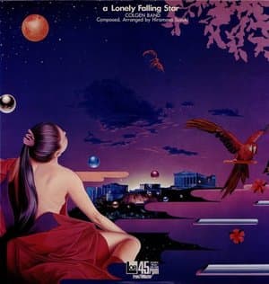 A Lonely Falling Star