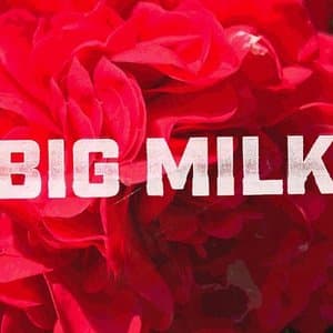 Big Milk