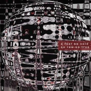 A Fear So Cold, So Raw, So True