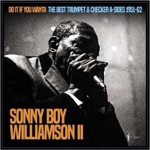 Do It If You Wanta: The Best Trumpet & Checker A-sides 1951-62