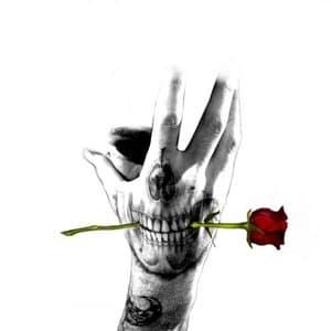 A Dream Or A Nightmare