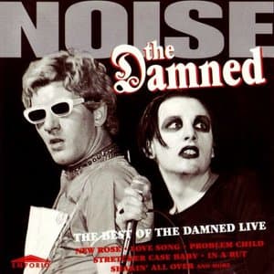 Noise (The Best Of The Damned Live)