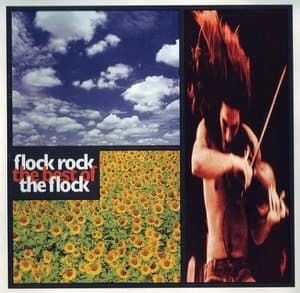 Flock Rock: Best of the Flock
