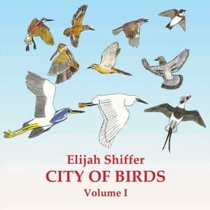 City Of Birds, Volume I
