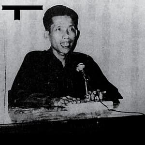 Shock Industrialization