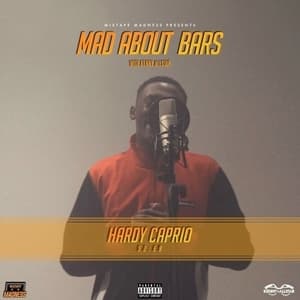Mad About Bars