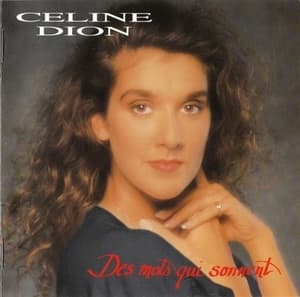 Des Mots Qui Sonnent