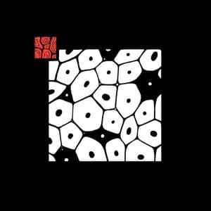 Fragments Of Darkness