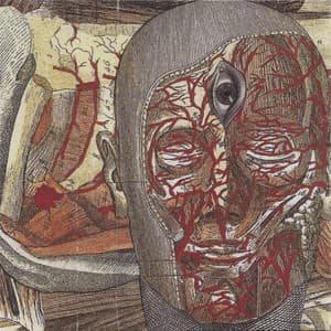 Meditation Convulsions