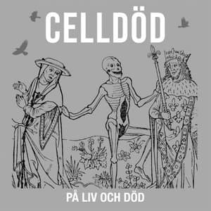 Pa Liv Och Dod