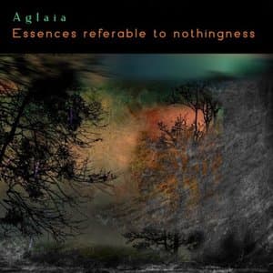 Essences referable to nothingness