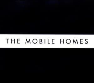 Today Is Your Lucky Day