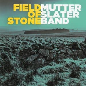 Field Of Stone