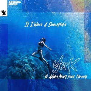 If I Were A Snowflake