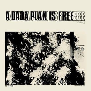 A Dada Plan Is Free