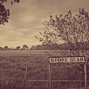 Stone Bear