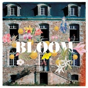 Bloom