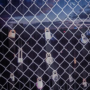 rebirth // renaissance