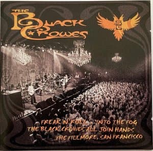 Freak n Roll... Into The Fog