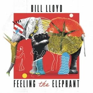 Feeling The Elephant (Remastered And Expanded)