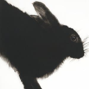 Without Hope I Am Nothing