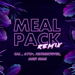 Meal Pack (feat. AYO^, HRTBRKFEVER & MEETSIMS) (Remix)