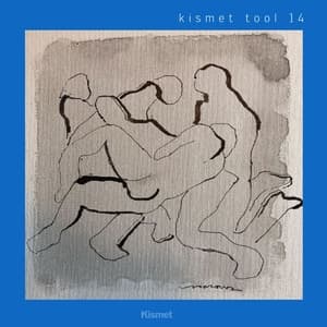 Kismet_tool_14
