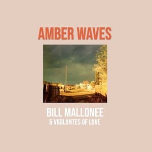 Amber Waves