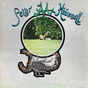 Chameleon In The Shadow Of The Night