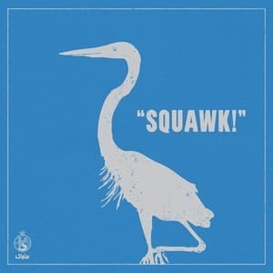 SQUAWK!