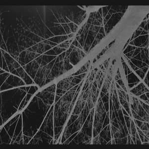 One Hundred Billion Galaxies